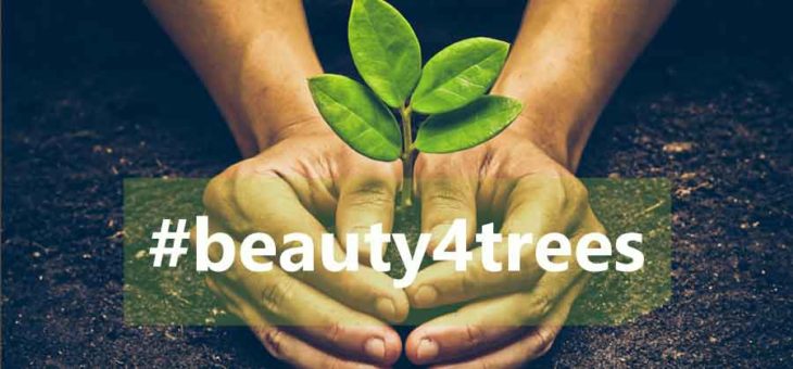 Beauty4trees – 🌳 pflanzen